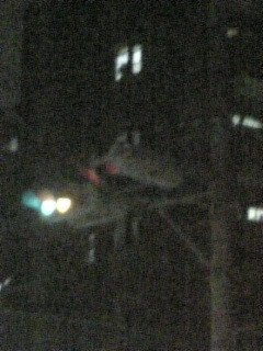 M@ʐ^J