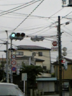 M@ʐ^L