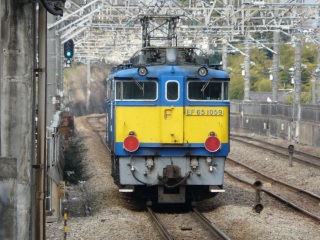 ����΁e�Z���S�b�N�f���(�m�D`)����