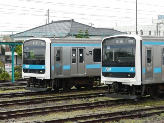 �Q�O�X�n �����ł̑a�J��